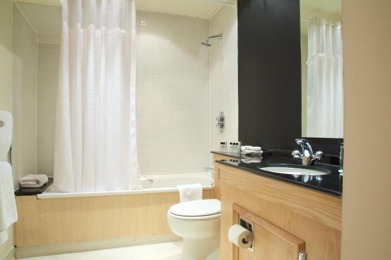 One-Bedroom Standard Suite with Double Bed and Sofa Bed image 2