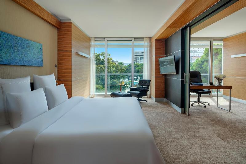 Business Suite with Garden view image 3