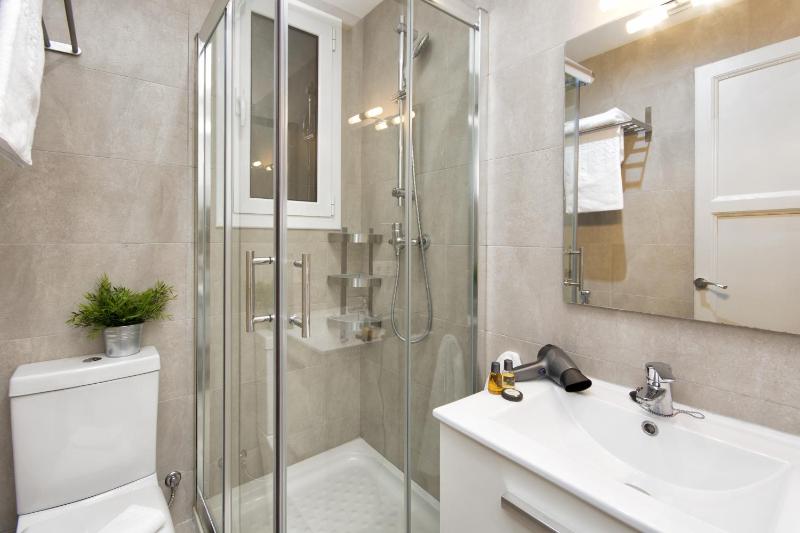 One-Bedroom Apartment image 2