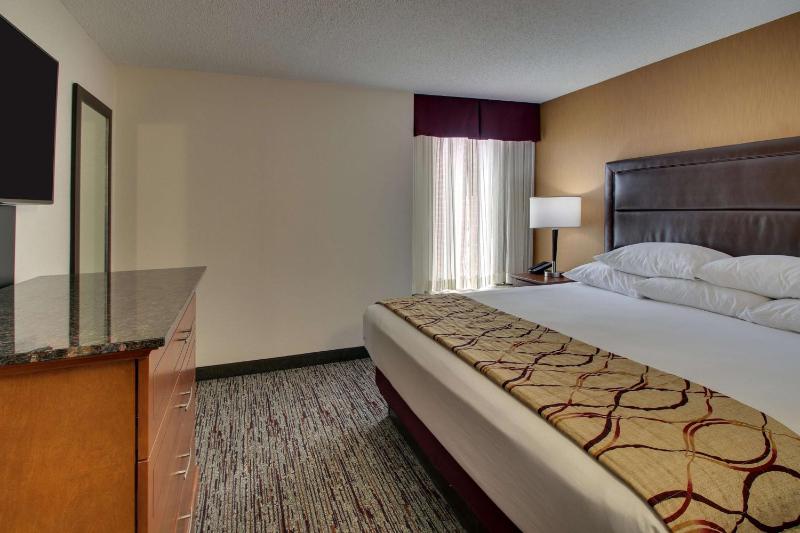 King Suite with Sofa Bed image 3
