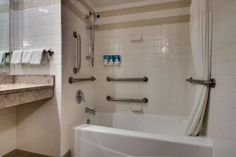 Deluxe King Suite image 2
