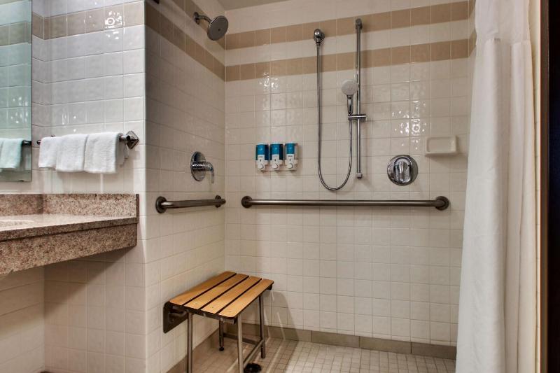 King Room with Roll-In Shower - Disability Access image 2