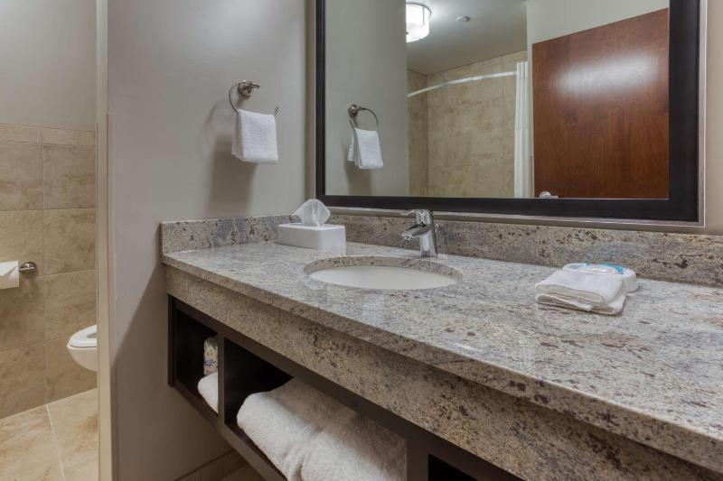 Deluxe King Suite image 2