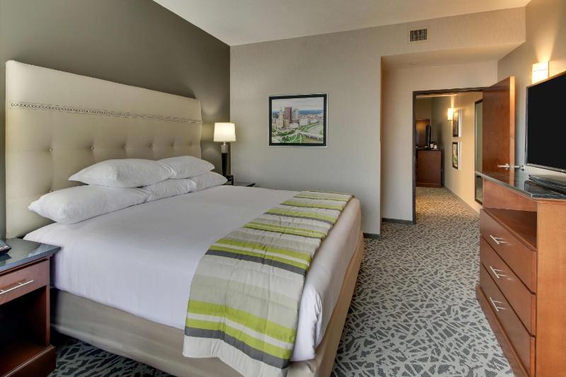 Deluxe King Suite image 4