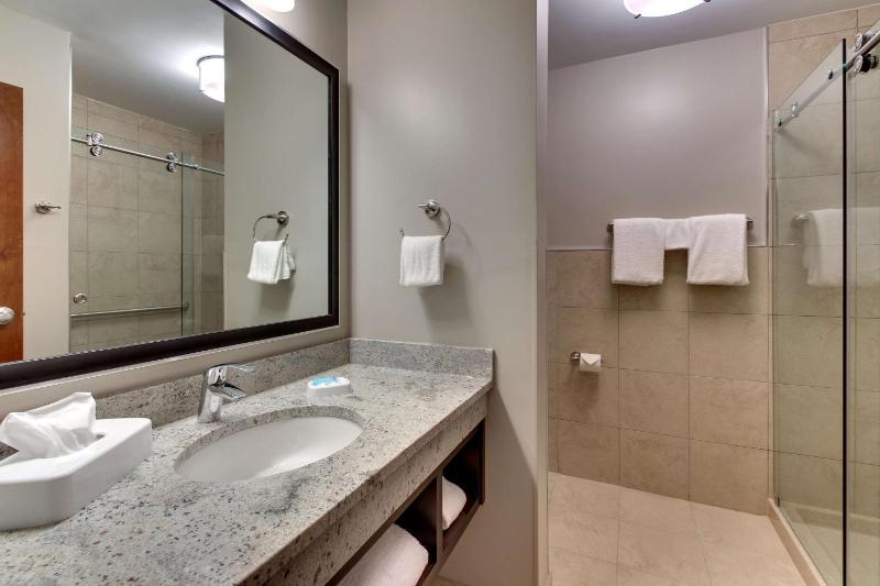 Deluxe King Suite image 3