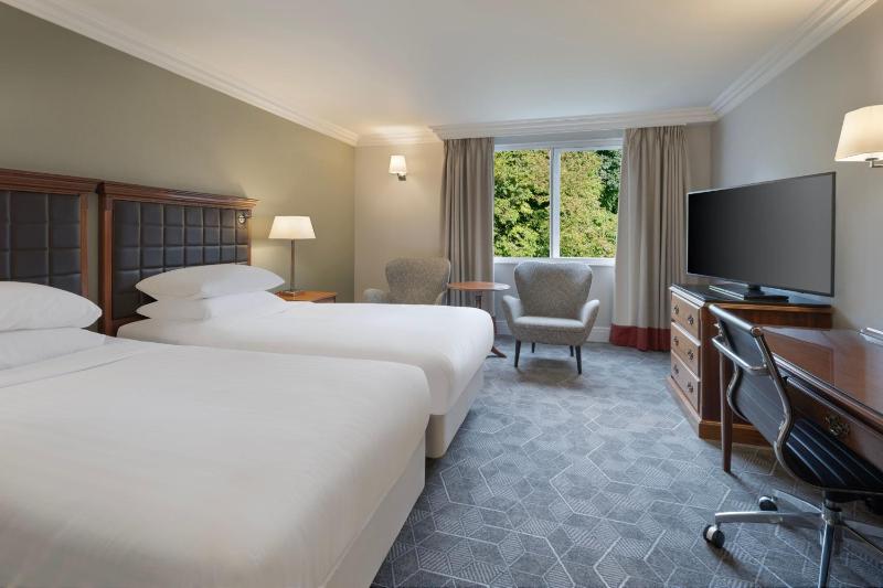 Deluxe Twin Room image 4