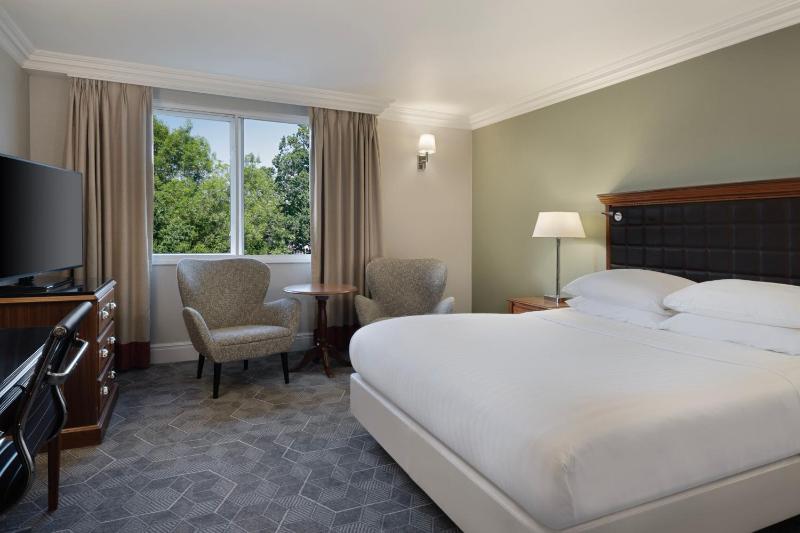 Deluxe Queen Room image 4