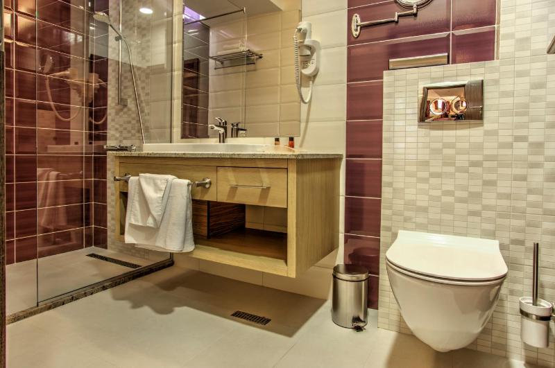 Standard King Room image 2
