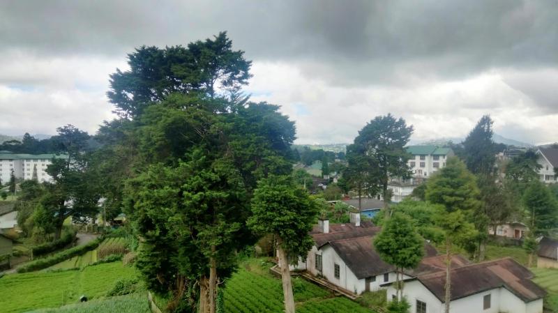 Nuwara eliya Luxury Apartment - image 34