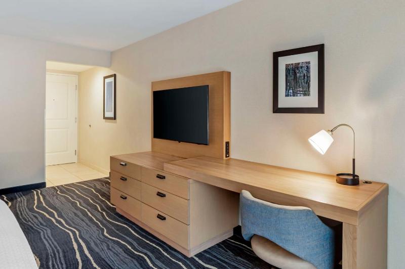 King Suite with Sofa Bed - Non-Smoking image 2