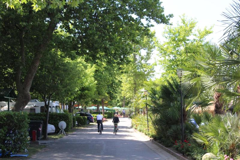 Camping Cisano - San Vito - image 32