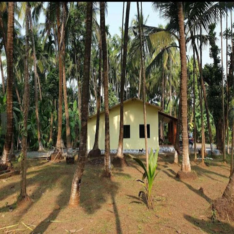 Savita Farmhouse - image 50