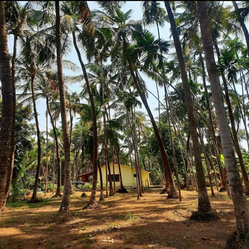 Savita Farmhouse - image 27