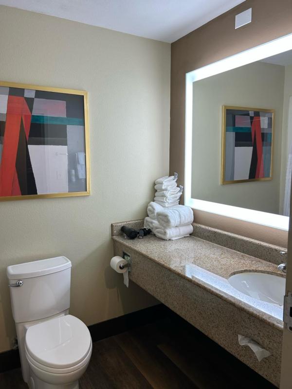 Executive Suite - King Bed image 2