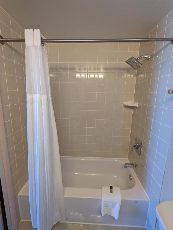 Deluxe One Bedroom Suite image 2