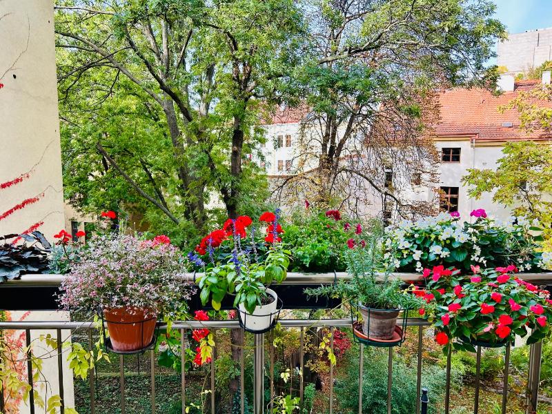 Green balcony & king size bed - image 10