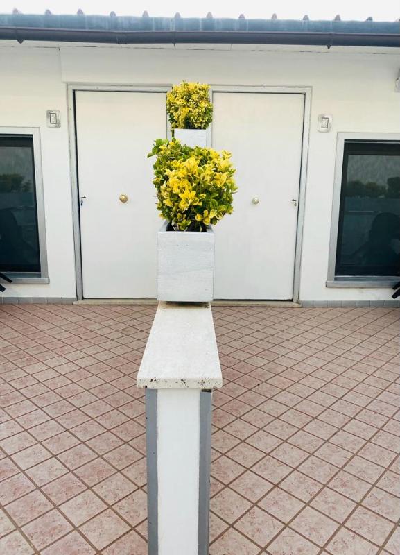 Airport Hotel - image 30