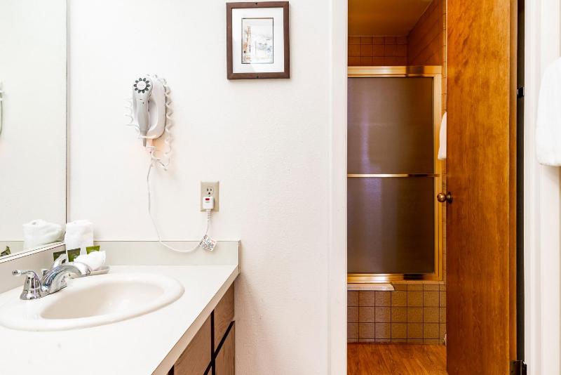 The Loft at Mountain Village by All Seasons Resort Lodging - image 32