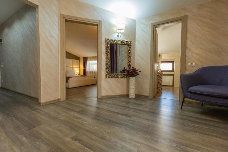 One-Bedroom Suite image 4