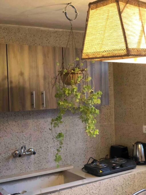 One-Bedroom Apartment image 4