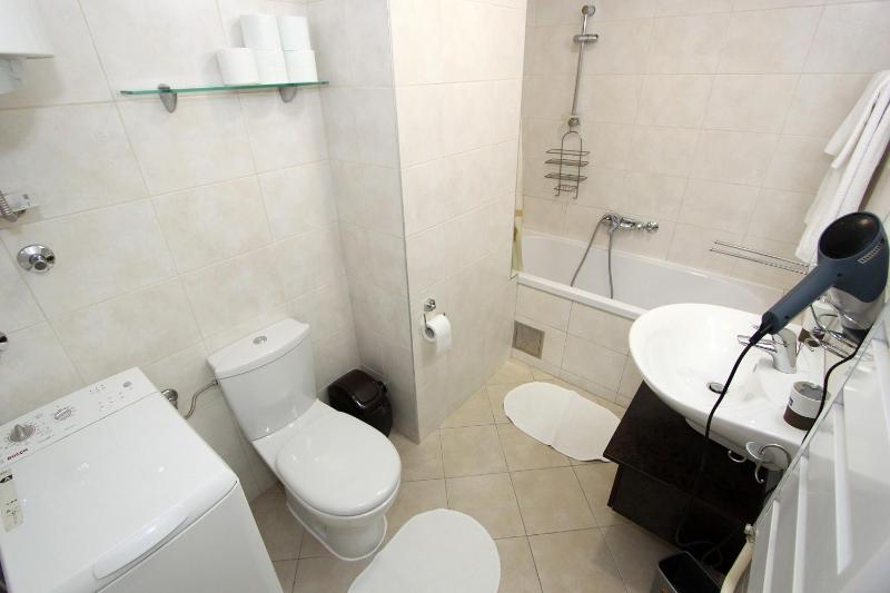 One-Bedroom Apartment image 2