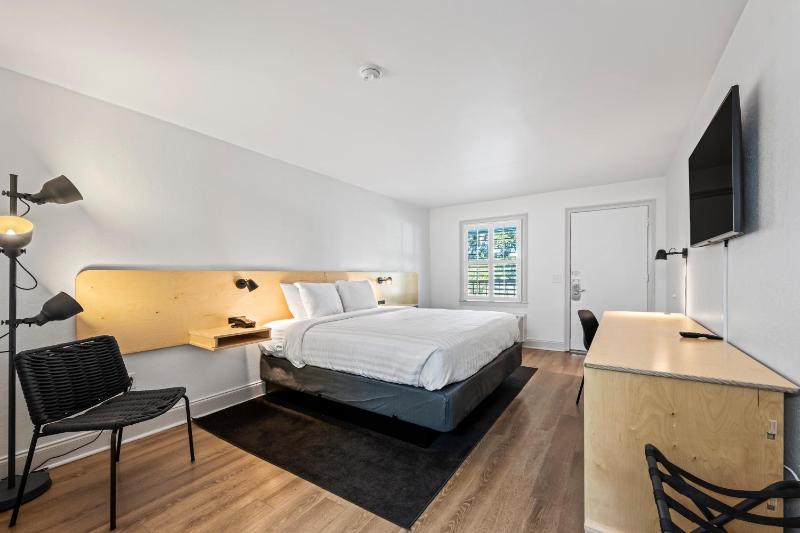 1 King Bed - Pet Friendly image 3