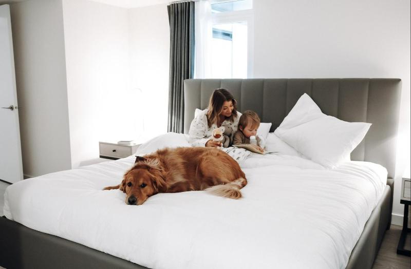Level Downtown LA South Olive - Extended Stay - image 16