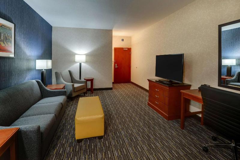 Deluxe King Suite image 4