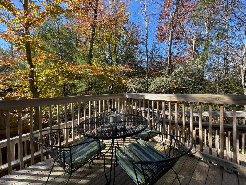 Happy Trails Hot Tub In Pigeon Forge Near Strip Hot Tub WIFI!!! - image 13