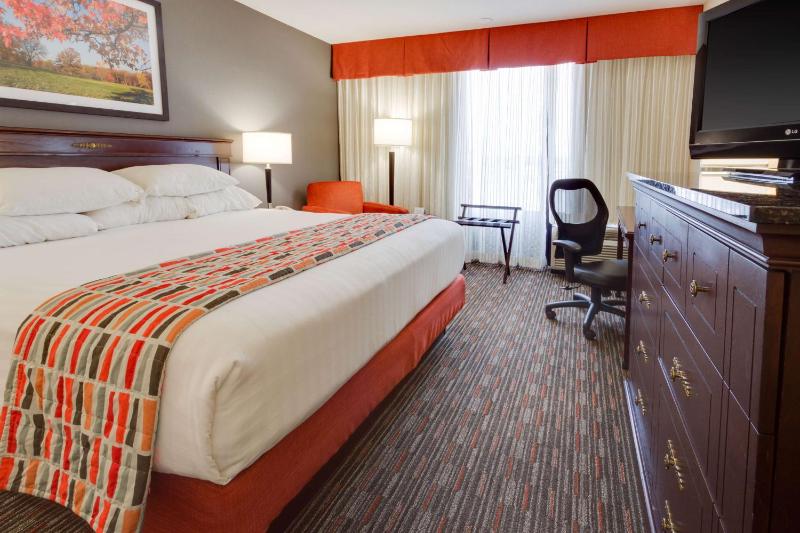 Deluxe King Room image 1