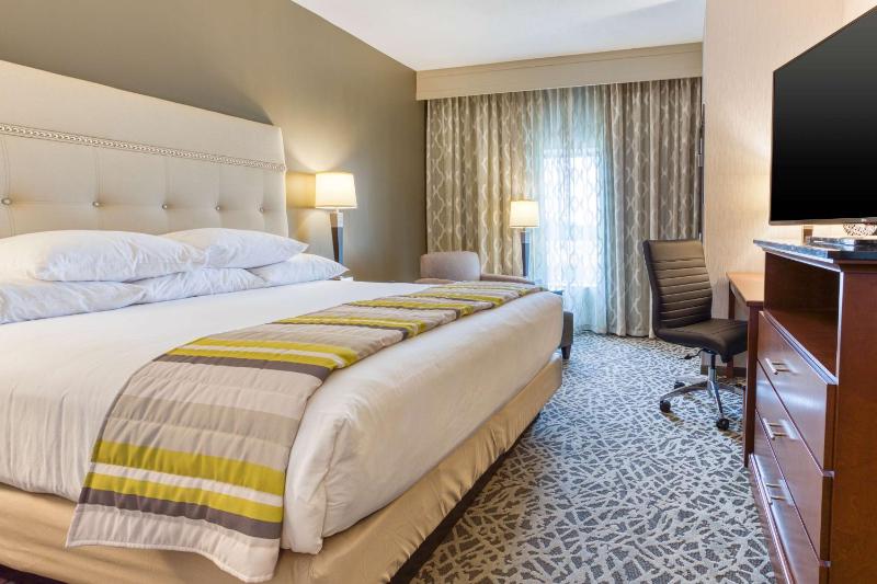 Deluxe King Room image 1