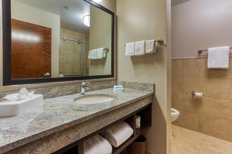 Deluxe King Suite image 2