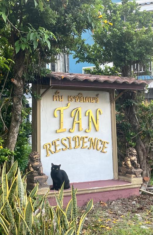 Tan Residence - image 28