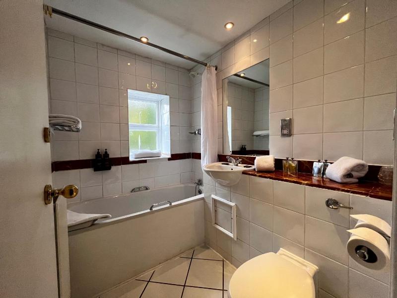 Deluxe Double Room image 3