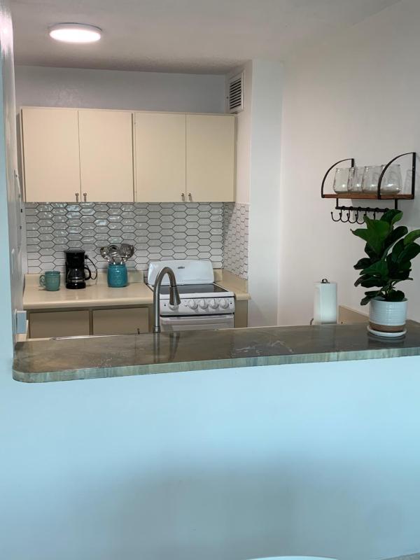 One-Bedroom Apartment image 1