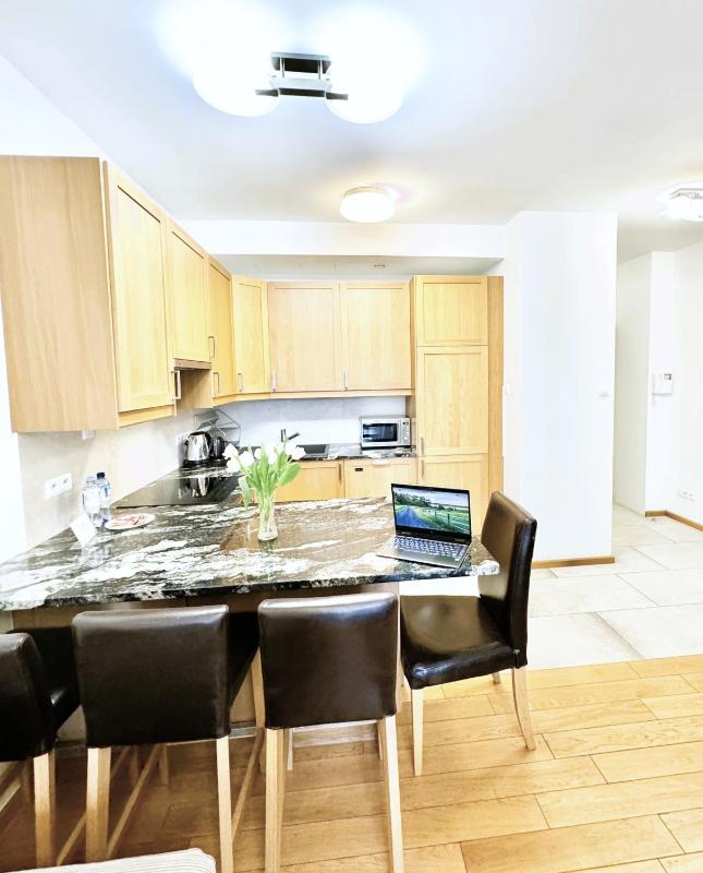 Deluxe One-Bedroom Apartment image 4