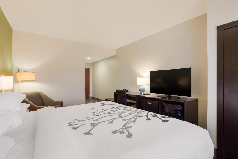 King Room - Accessible/Non Smoking image 3