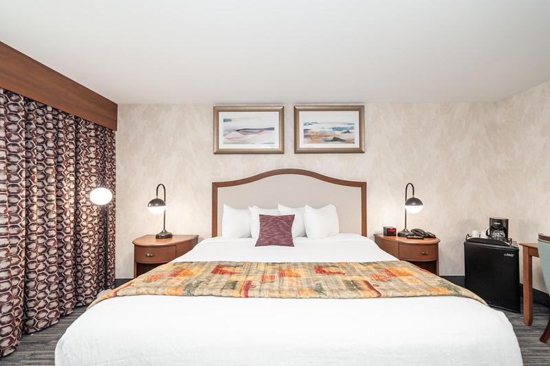 King Room, Non-Smoking image 3