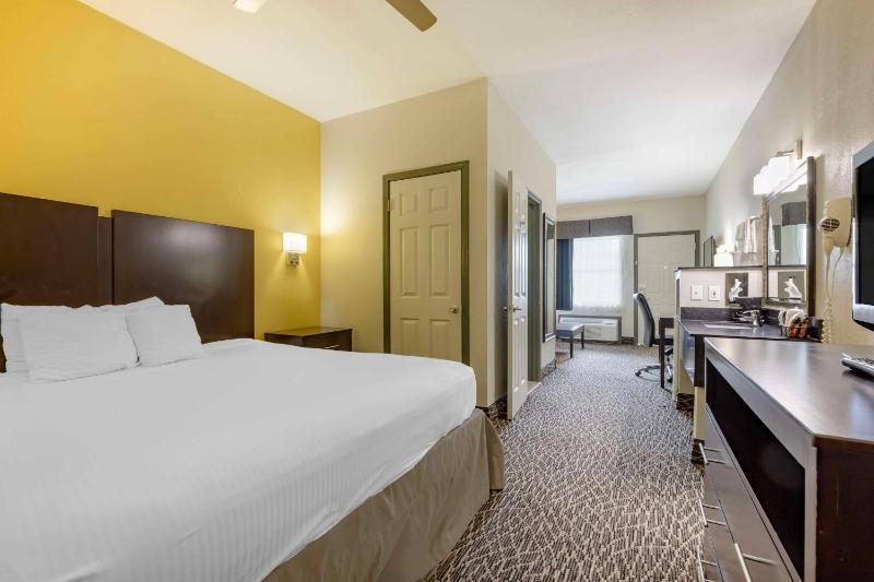 King Suite with Sofa Bed - Non Smoking image 3
