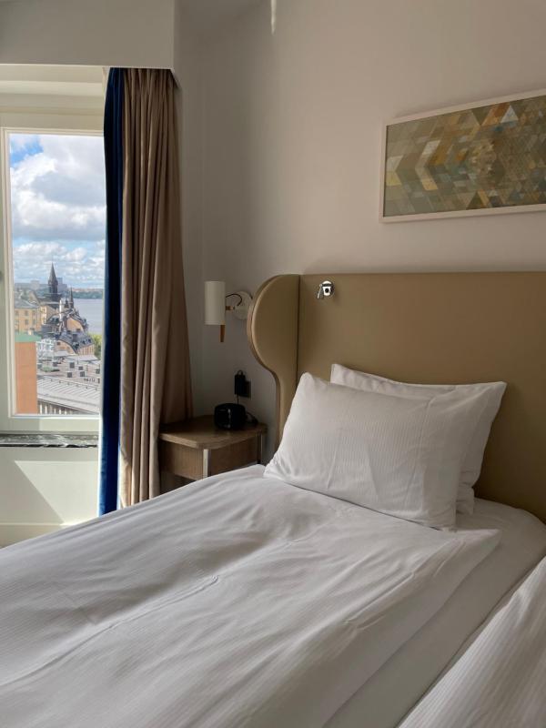 Deluxe King Room image 3