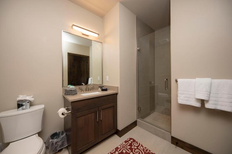 Newly built Luxury Home 5-Star Finishes SHUTTLE to slopes backs to Breckenridge Nordic Center! - image 5