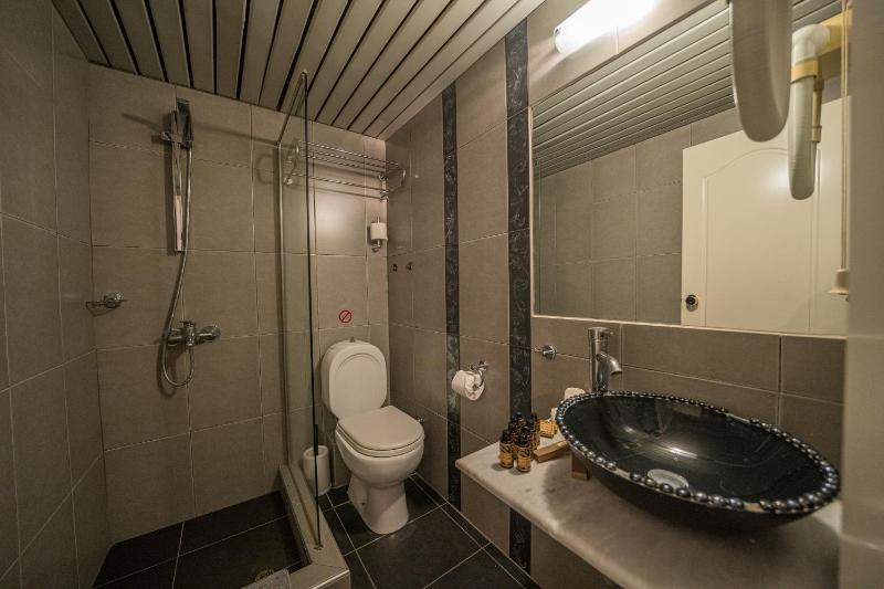 Superior King Suite image 4