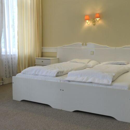 Double or Twin Room image 3