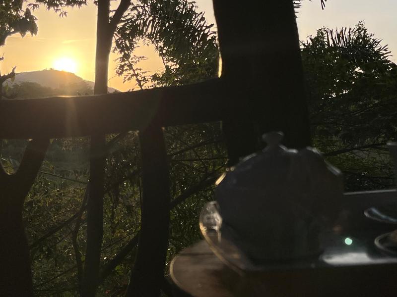 Sigiriya Rock Gate Tree House - image 13