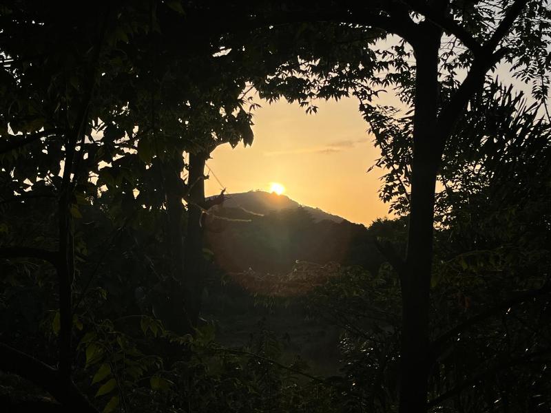 Sigiriya Rock Gate Tree House - image 9