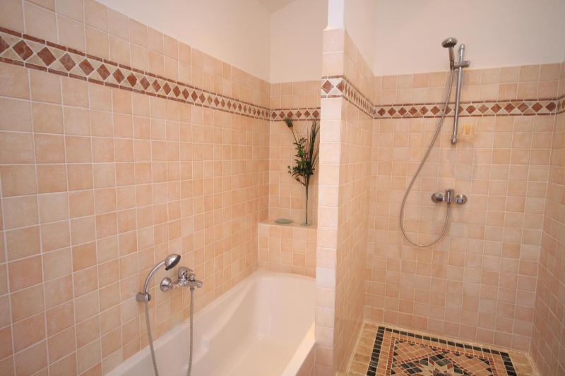 One-Bedroom Apartment with Terrace image 2
