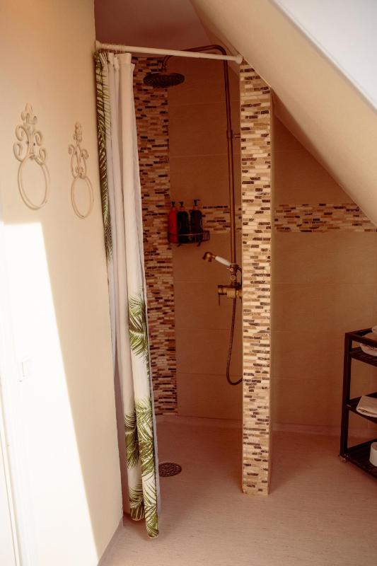 Deluxe Suite image 4
