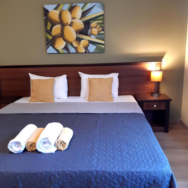Double or Twin Room image 3