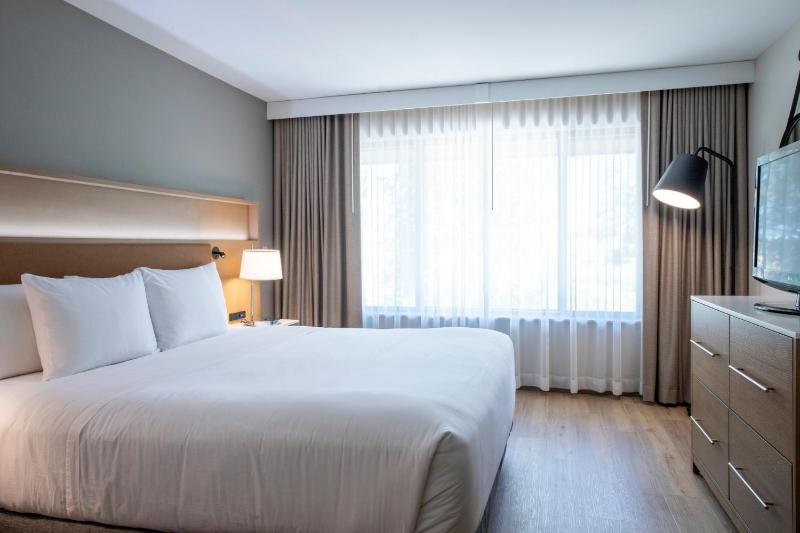 One-Bedroom King Suite with Sofa Bed - Non-Smoking image 1