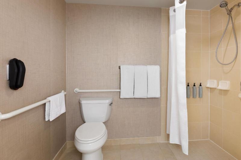 Newly Renovated King Studio with Sofa Bed - Mobility/Hearing Accessible with Roll-In Shower image 2
